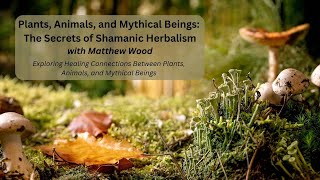 Plants Animals and Mythical Beings The Secrets of Shamanic Herbalism with Matthew Wood [upl. by Ecidna]