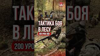 ТАКТИКА БОЯ в ЛЕСУ  клуб ЯРОПОЛК  200 урок ДОВОЕННОЙ ПОДГОТОВКИ 26102024 г [upl. by Himelman223]