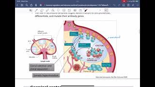 ติว Immuno pharm Final part 1  rxcu85 [upl. by Nairret]