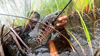 Pescando y cocinando encontramos un lugar con muchos guapotes grandes [upl. by Desberg]