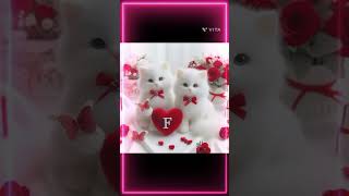 🥰 F ❤️ Name letter comment beutiful ❤️love song music newsong shortvideo viralsong 🥰🥰🥰🥰 [upl. by Marice]