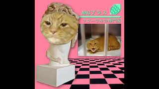 Macintosh Plus Floral Shoppe But its Burger amp Fries the cat [upl. by Nodal]