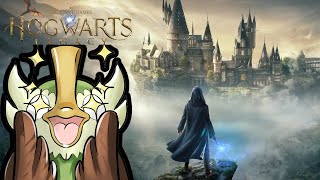 Hogwarts Legacy Deutsch Lets Play 21 Einhorn Experte [upl. by Assilanna]