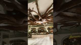 Vegas park mgm ceiling art lasvegas art shorts [upl. by Viva56]