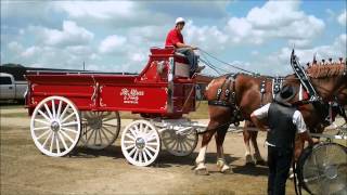 Monroe County Fair 2012 in Tomah Wisconsin [upl. by Yasnyl]