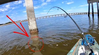 This BRIDGE MONSTER pulled my KAYAK New PB Jacksonville Fl [upl. by Mcnamee]