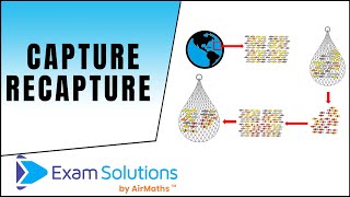 Capture Recapture  ExamSolutions [upl. by Doretta]