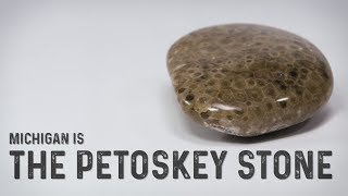 The Petoskey Stone Has 300 Million Years of History in its Hexagons [upl. by Marva]