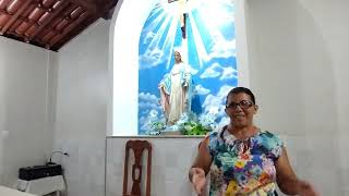 Carnaubinha do Faé comemora 15 anos de festa da padroeira Nossa Senhora das Graças [upl. by Creigh748]