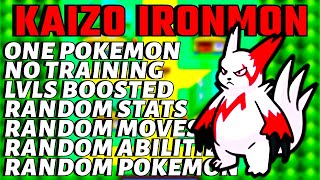 GOOSE ON THE LOOSE  KAIZO IRONMON  HARDEST POKEMON CHALLENGE [upl. by Atnwahsal]