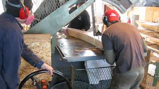 Sawing rolling bevels on oak futtocks using a ships saw [upl. by Edsel698]