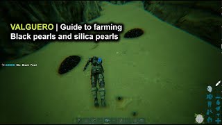 Ark Valguero  Guide to Farming Black Pearls and Silica Pearls [upl. by Cirre]