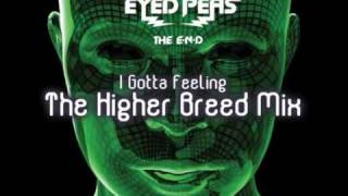 Black Eyed Peas  I Gotta Feeling The Higher Breed Mix [upl. by Suixela]