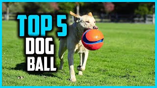 ✅Top 5 Best Dog Ball in 2024 [upl. by Sammy]