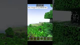 Negative coordinates minecraftparody minecraftshorts gaming thingsyoudontknowaboutminecraft [upl. by Ramat]