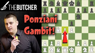 Win Fast with The Bishops Opening Ponziani Gambit [upl. by Ynohtnael]