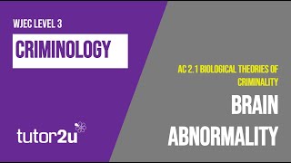 Brain Abnormality  WJEC Criminology  Unit 2  AC 21  Revision [upl. by Byron]