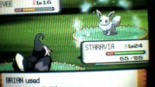 Shiny Eevee Encounter With Pokeradar First one of the 11 [upl. by Utter]