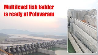 Multilevel fish ladder is ready at Polavaram  MEIL Irrigation [upl. by Rouvin]