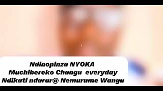 NDINOPINZA NYOKA MUCHIBEREKO EVERYDAY NDISATI NDARAR NEMURUME WANGU [upl. by Othe]