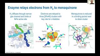 Hydrogenase Lectures 2022 Episode 4 Part 1 Chris Greening [upl. by Nakre]