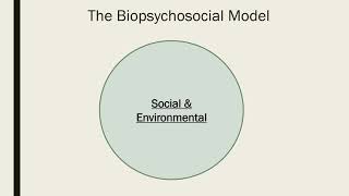 The Biopsychosocial Model [upl. by Hendrick]