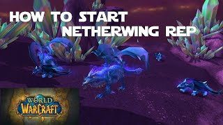 How to Get Started with the Netherwing Faction and Get your Netherwing Drake [upl. by Licht102]