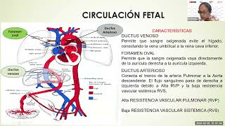 2 Cambios en la adaptación a la vida extrauterina Evaluación del recién nacido Dra L Pantoja [upl. by Moser]