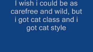 Stray Cat Strut Lyrics [upl. by Ahsiekal]