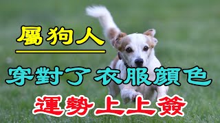 【生肖狗穿衣風水講究】屬狗人穿對了顔色，運勢上上簽，生活富貴無憂 ！ [upl. by Aivonas]