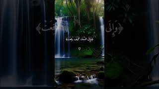 Quran tilawat Islamic video for you [upl. by Renee442]