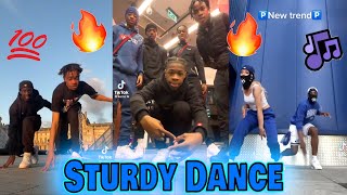 Sturdy Dance V4 🔥💯🌍  TikTok Compilation [upl. by Eustatius794]