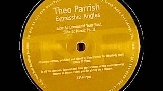 Theo Parrish  Command Your Soul [upl. by Ecaj]