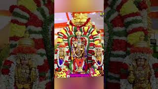 Shri Venkateshwara🙏 govinda balaji malathilingesh shorts [upl. by Rayham]