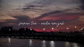 paman tua  nadin amizah  cover full version [upl. by Magbie501]