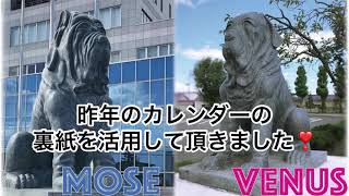 FUKUMAN守護犬 MOSEampVENUS [upl. by Sila399]