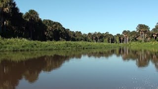 Pescaria no Pantanal Parte 03 Rio Aquidauana dia 02 de Maio de 2018 [upl. by Arodoeht]