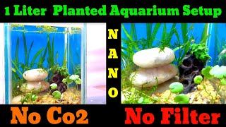 Nano Planted Aquarium  1 Liter Nano Tank  No Filter No Heater No Co2 No Ferts [upl. by Bergin]