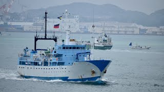 長崎大学水産学部練習船 長崎丸 改め海洋調査船 quot第二開洋丸quot Marine research vessel quotKAIYO MARU No2quot [upl. by Sucy]