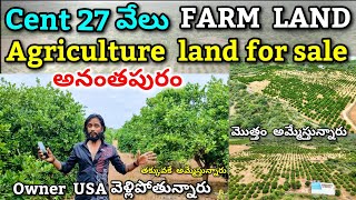 Farm Land 27 Ekara For Sale  panakacherla village Anantapur  Farm land sale [upl. by Araminta]