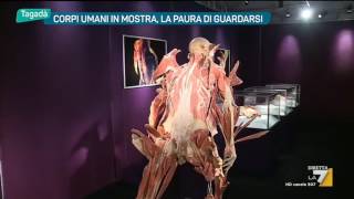 Corpi umani in mostra la paura di guardarsi [upl. by Bower572]