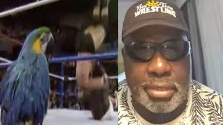 Koko B Ware on the Tragic Death of Frankie [upl. by Hsirehc]