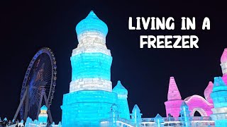 Harbin Ep 8 Harbin Ice amp Snow World 哈尔滨冰雪大世界  Worlds biggest Ice Festival harbin chinatravel [upl. by Odlaumor]