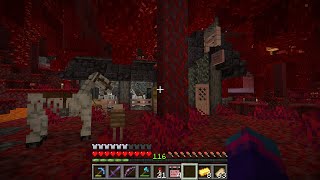 Skeleton Stables  Minecraft with Qwayzaar  Episode 005 [upl. by Macgregor]