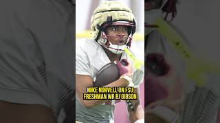 Mike Norvell likes what he sees in FSU freshman WR BJ Gibson FSUFootball FloridaState [upl. by Ained]