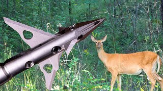 SEVR 15 Hybrid Pass Through on Doe  NORTH CAROLINA BOWHUNTING [upl. by Adnahsam]