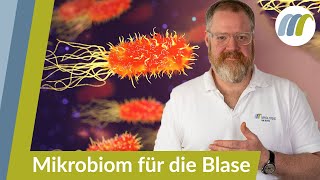 Blasenentzündung vorbeugen  Das Mikrobiom auf Vordermann bringen  Urologie am Ring [upl. by Lairret]