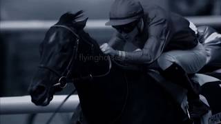 Whatever It Takes Horse Racing Music Video [upl. by Adnowat]