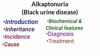 Alkaptonuria  Introduction InheritanceCauseBiochemicalampClinical featuresDiagnosis amp Treatment [upl. by Zarla222]