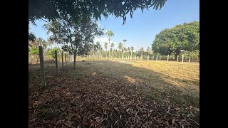 VENTA LOTE SAN BERNARDO DEL VIENTO MONTERIA [upl. by Enrev]